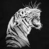 Свитшот детский Like a Tiger, черный